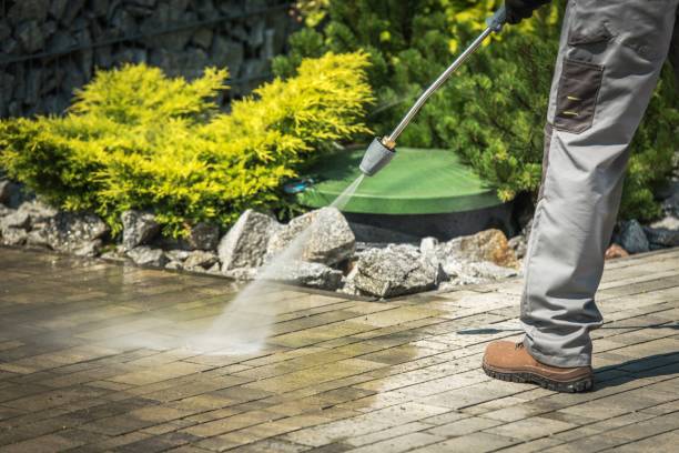 Best Driveway Cleaning and Restoration in Clifton, TN