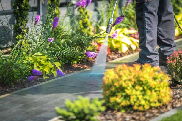 Best Parking Lot Cleaning in Clifton, TN