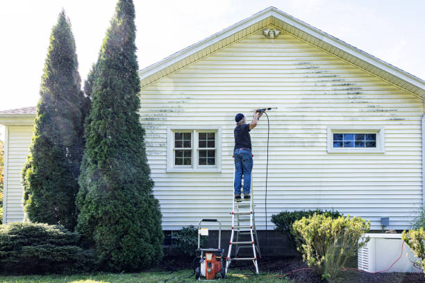 Best Building Exterior Pressure Washing in Clifton, TN