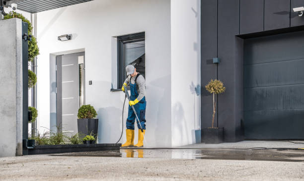 Best Window and Screen Pressure Cleaning in Clifton, TN